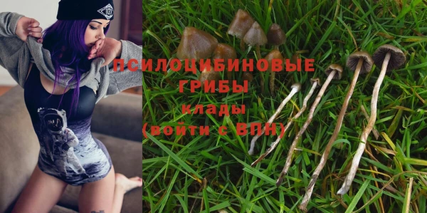 индика Алексин