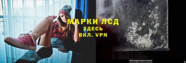 стафф Алзамай
