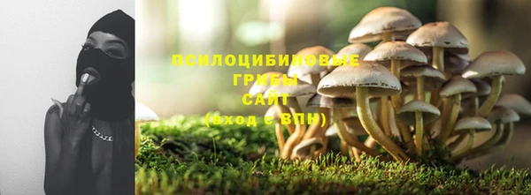 стафф Алзамай