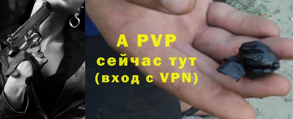 индика Алексин