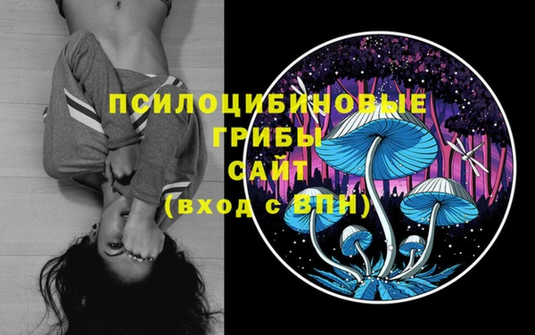 прущие грибы Алексеевка