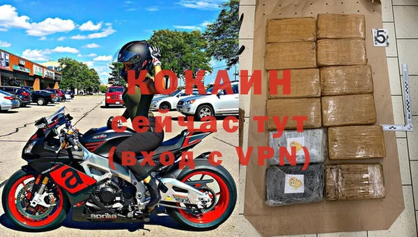 индика Алексин