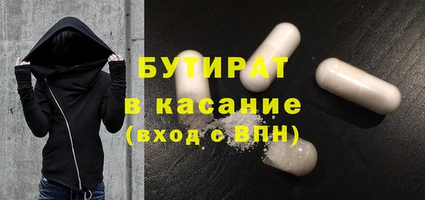 индика Алексин
