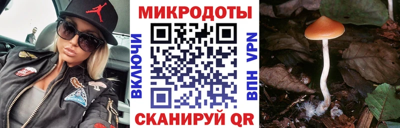 OMG ССЫЛКА  Амурск  Псилоцибиновые грибы Psilocybe 