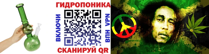 Бошки марихуана ГИДРОПОН Амурск